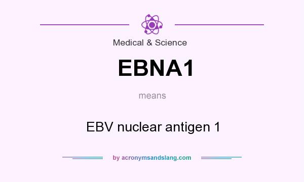 What does EBNA1 mean? It stands for EBV nuclear antigen 1