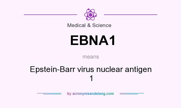 What does EBNA1 mean? It stands for Epstein-Barr virus nuclear antigen 1