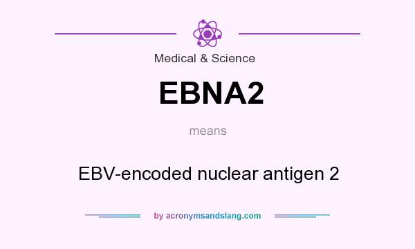 What does EBNA2 mean? It stands for EBV-encoded nuclear antigen 2