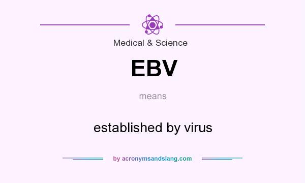 What does EBV mean? It stands for established by virus