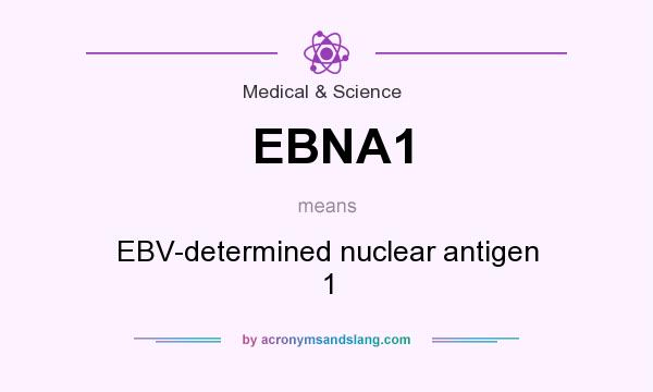 What does EBNA1 mean? It stands for EBV-determined nuclear antigen 1