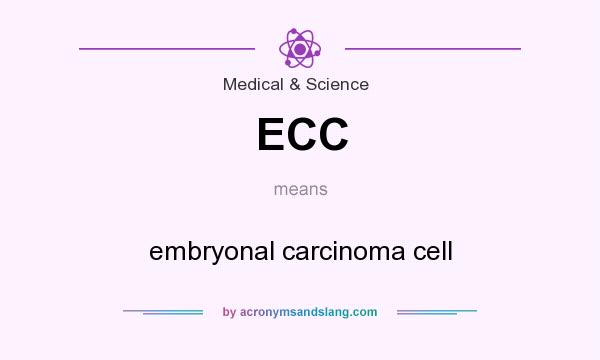 What does ECC mean? It stands for embryonal carcinoma cell
