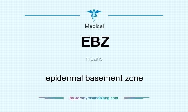 What does EBZ mean? It stands for epidermal basement zone