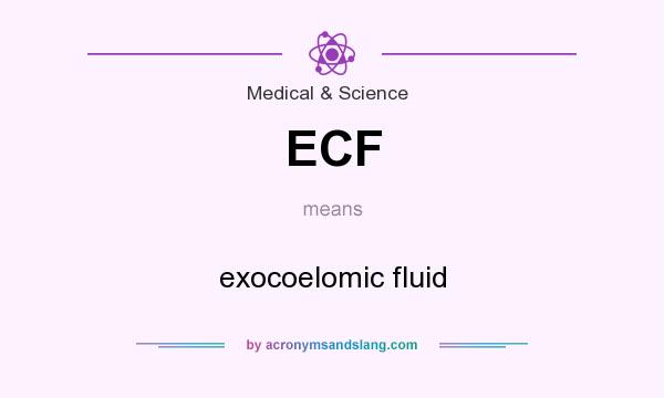 What does ECF mean? It stands for exocoelomic fluid
