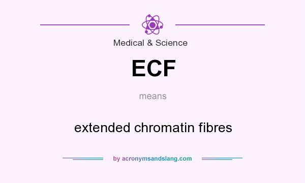 What does ECF mean? It stands for extended chromatin fibres
