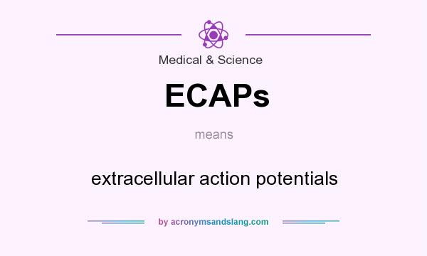 What does ECAPs mean? It stands for extracellular action potentials