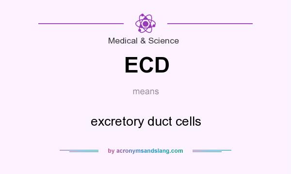 What does ECD mean? It stands for excretory duct cells