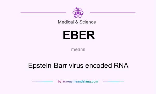 What does EBER mean? It stands for Epstein-Barr virus encoded RNA