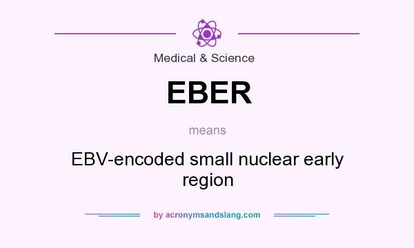 What does EBER mean? It stands for EBV-encoded small nuclear early region