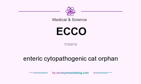 What does ECCO mean? It stands for enteric cytopathogenic cat orphan