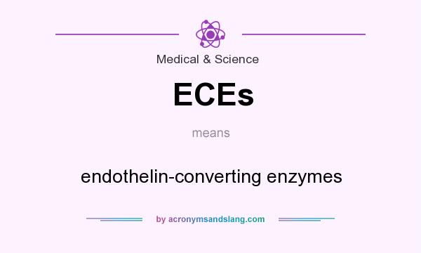 What does ECEs mean? It stands for endothelin-converting enzymes