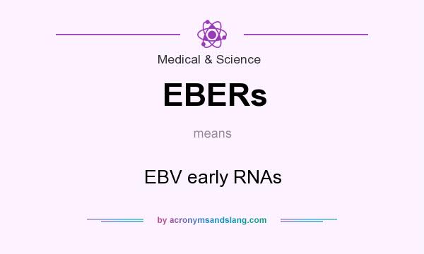 What does EBERs mean? It stands for EBV early RNAs