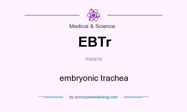 What does EBTr mean? It stands for embryonic trachea