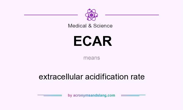 What does ECAR mean? It stands for extracellular acidification rate
