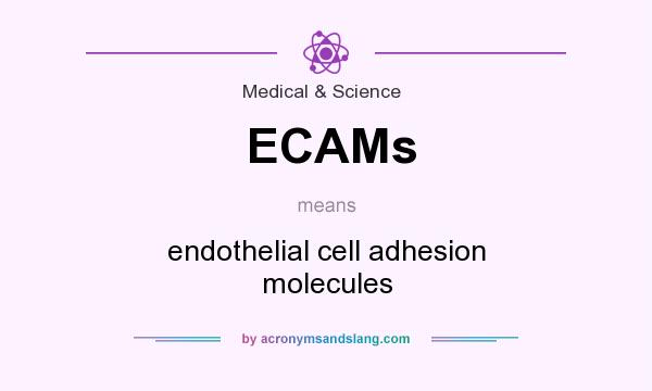 What does ECAMs mean? It stands for endothelial cell adhesion molecules