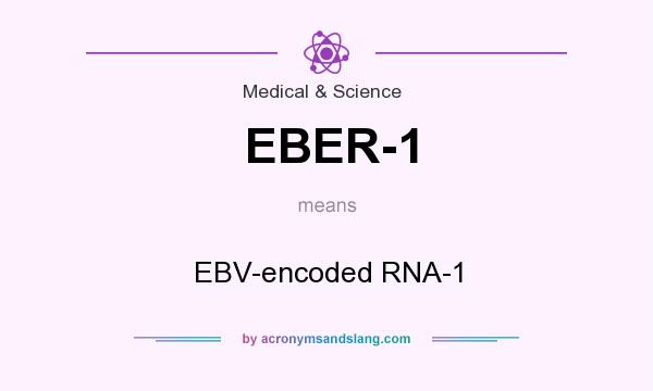 What does EBER-1 mean? It stands for EBV-encoded RNA-1