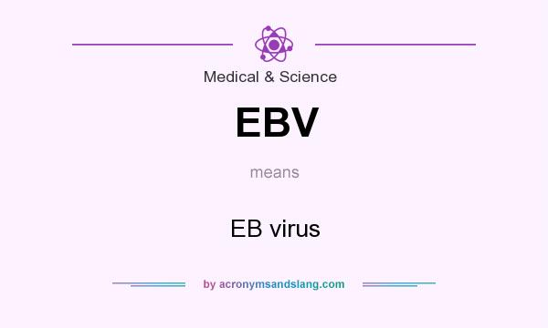 What does EBV mean? It stands for EB virus