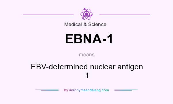 What does EBNA-1 mean? It stands for EBV-determined nuclear antigen 1