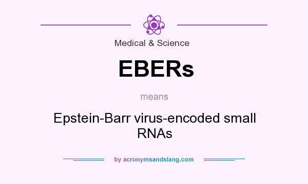 What does EBERs mean? It stands for Epstein-Barr virus-encoded small RNAs