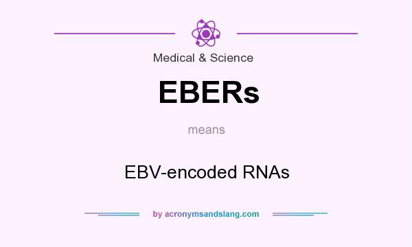 What does EBERs mean? It stands for EBV-encoded RNAs