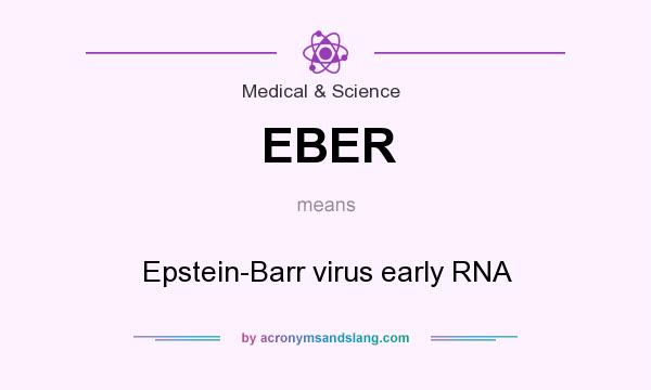 What does EBER mean? It stands for Epstein-Barr virus early RNA