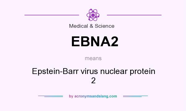 What does EBNA2 mean? It stands for Epstein-Barr virus nuclear protein 2
