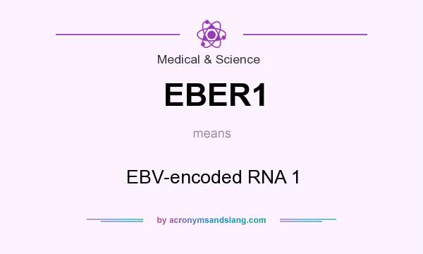 What does EBER1 mean? It stands for EBV-encoded RNA 1