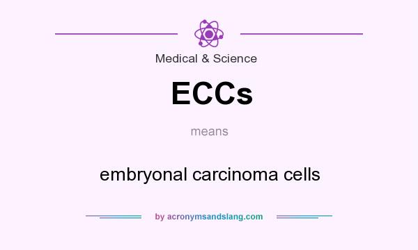 What does ECCs mean? It stands for embryonal carcinoma cells