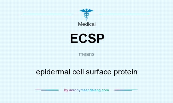 What does ECSP mean? It stands for epidermal cell surface protein
