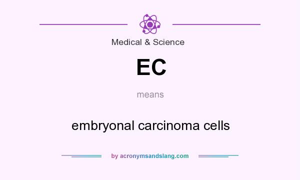What does EC mean? It stands for embryonal carcinoma cells