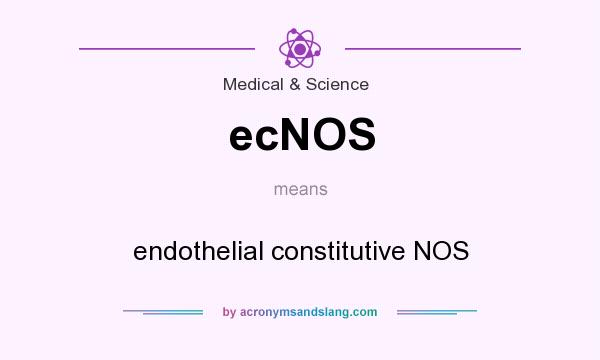 What does ecNOS mean? It stands for endothelial constitutive NOS