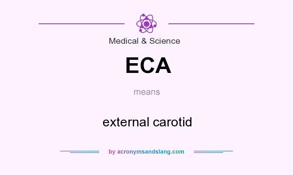 What does ECA mean? It stands for external carotid