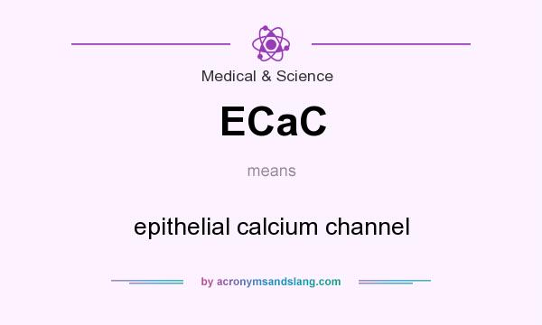 What does ECaC mean? It stands for epithelial calcium channel