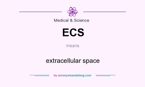 What does ECS mean? It stands for extracellular space