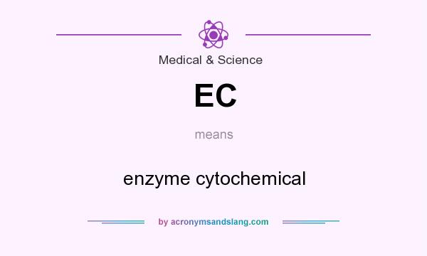 What does EC mean? It stands for enzyme cytochemical