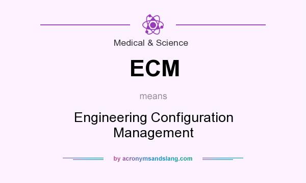 What does ECM mean? It stands for Engineering Configuration Management
