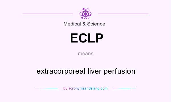 What does ECLP mean? It stands for extracorporeal liver perfusion