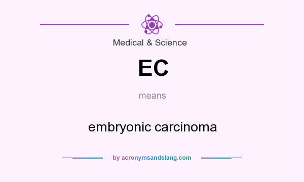 What does EC mean? It stands for embryonic carcinoma