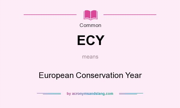 What does ECY mean? It stands for European Conservation Year