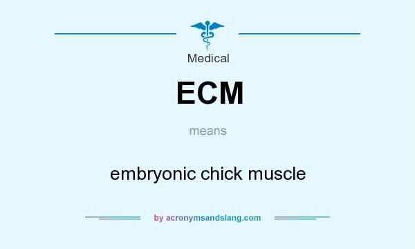 What does ECM mean? It stands for embryonic chick muscle