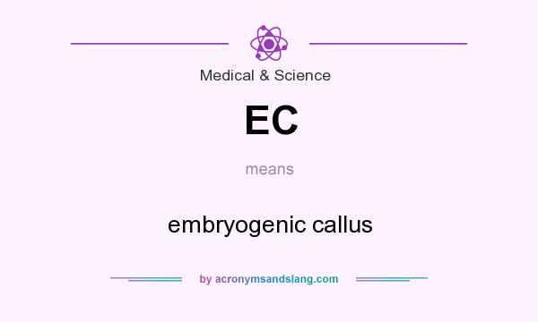 What does EC mean? It stands for embryogenic callus