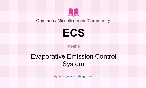 What does ECS mean? It stands for Evaporative Emission Control System