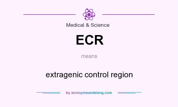 What does ECR mean? It stands for extragenic control region