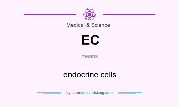 What does EC mean? It stands for endocrine cells