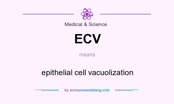What does ECV mean? It stands for epithelial cell vacuolization