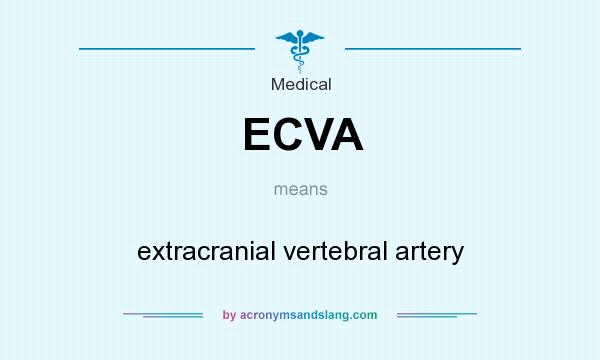 What does ECVA mean? It stands for extracranial vertebral artery