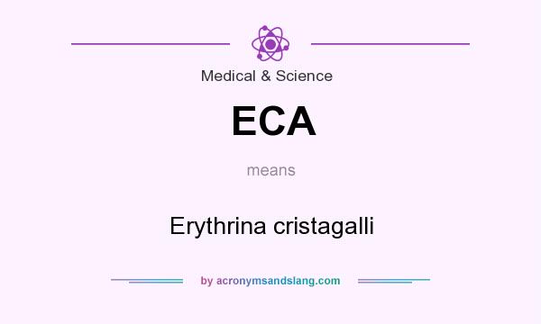 What does ECA mean? It stands for Erythrina cristagalli