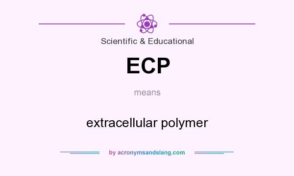 What does ECP mean? It stands for extracellular polymer