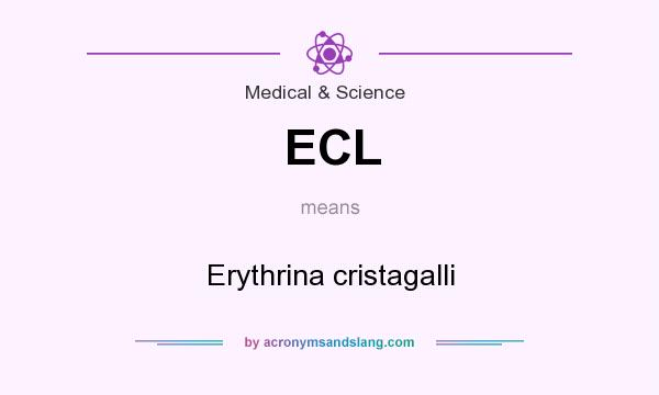 What does ECL mean? It stands for Erythrina cristagalli