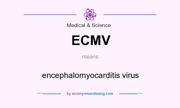 What does ECMV mean? It stands for encephalomyocarditis virus